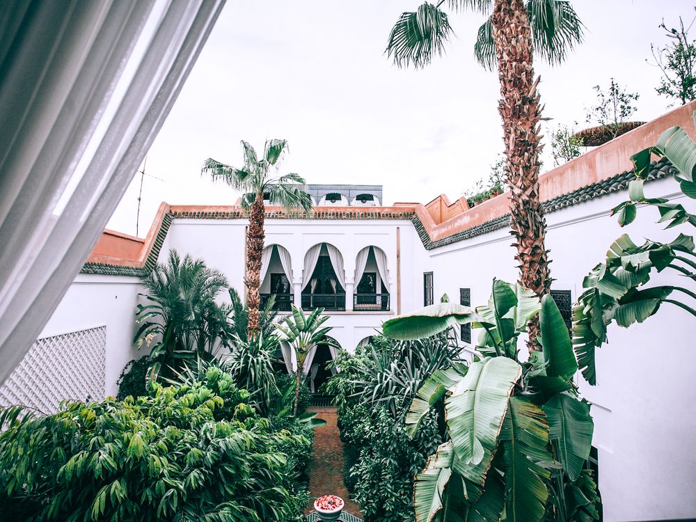 Orange trees growing in the courtyard